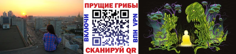 Псилоцибиновые грибы GOLDEN TEACHER  сколько стоит  Карасук 